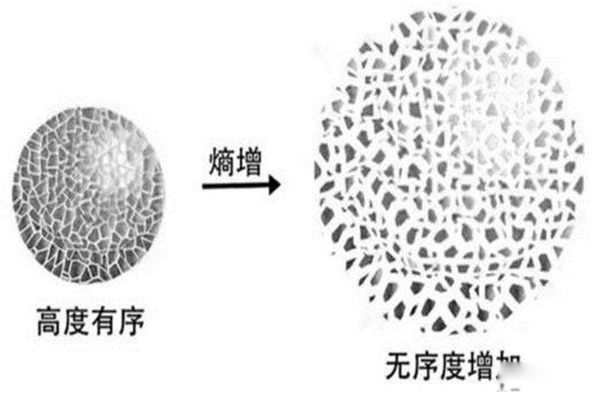 ��������ʲô��˼ ��ߵĶ����ǲ������е�