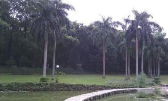 ���ڴ�ѧ����ͼ������ �ܶ��˶�˵���ڴ�ѧ��һ��а��