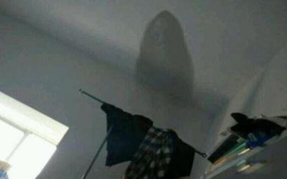 ���ڴ�ѧ����ͼ������ �ܶ��˶�˵���ڴ�ѧ��һ��а��