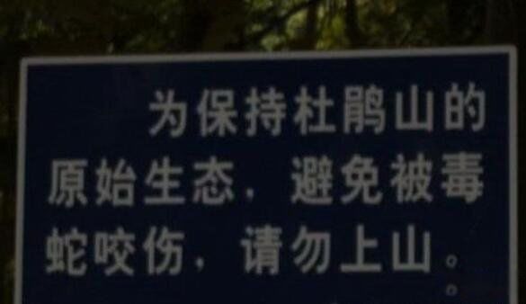 ���ڴ�ѧ����ͼ������ �ܶ��˶�˵���ڴ�ѧ��һ��а��