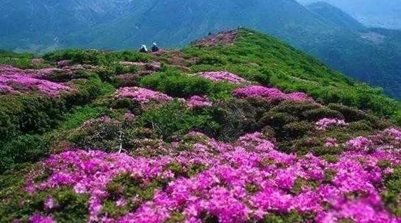 ���ڴ�ѧ����ͼ������ �ܶ��˶�˵���ڴ�ѧ��һ��а��