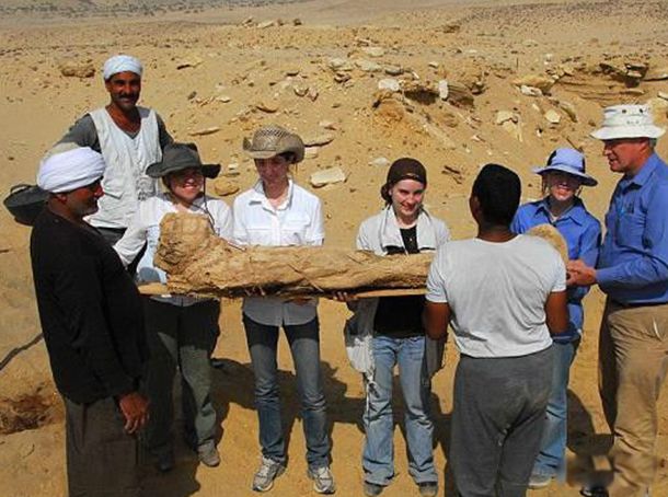 ľ����ΪʲôҪ����ɫ�Ĳ� ľ������ʲô����