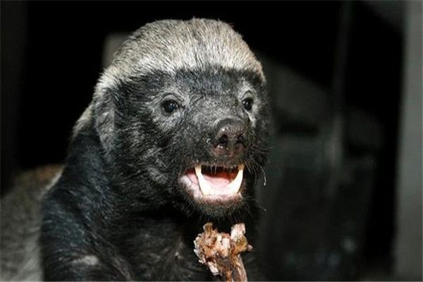 ���Ϊʲô˭������ ������еı�ү����ţ�����»�