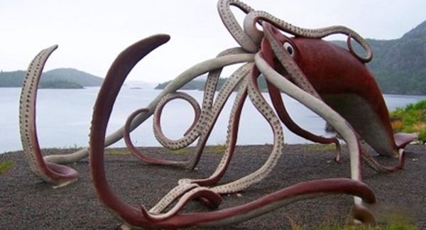 ˮ���µ�������Щ��ֲ� ʷǰ��ֲ���ʮ�󺣵�����