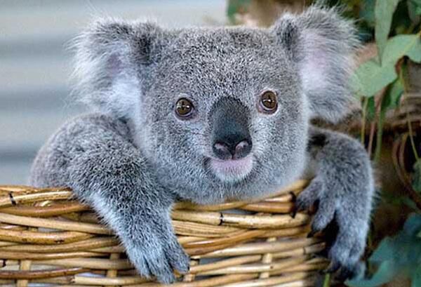 �����Ϳ�����һ�������� �����Ǻ����Ե�