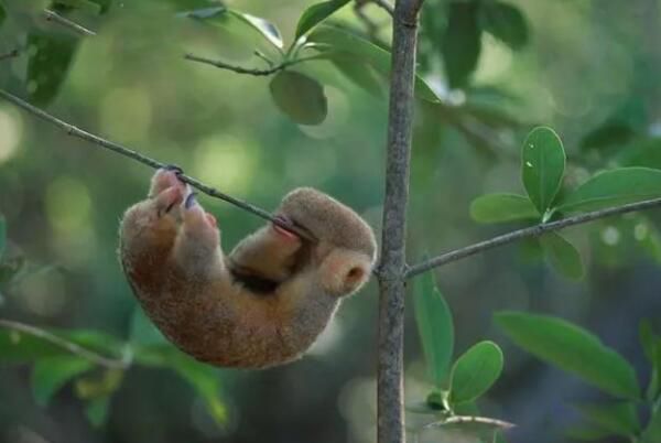 �����Ϳ�����һ�������� �����Ǻ����Ե�