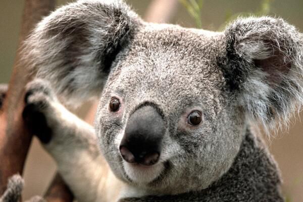 �����Ϳ�����һ�������� �����Ǻ����Ե�