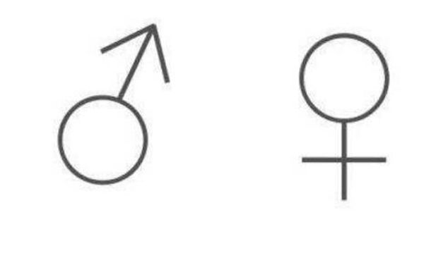 ����ʲô��˼ �ڿ�ˤ������ô������