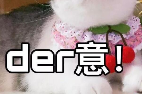 der��ʲô��˼ �����Ϻܻ���������˼����