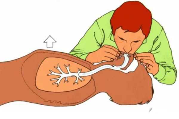 ��������˹�����������һλҽѧ��? �˹��������������