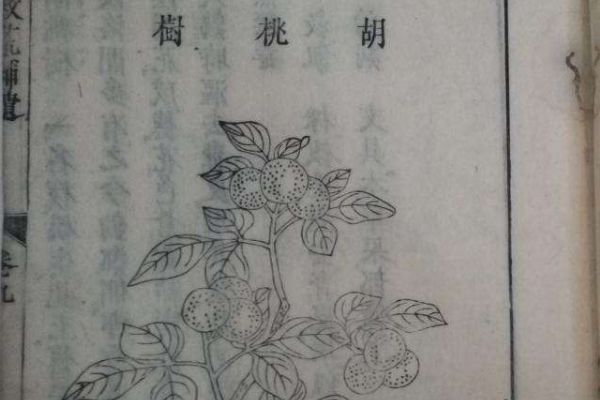 �Ȼı������ĸ�ʱ�ڵ�˭��׫�� �Ȼı��ݵ��������ĸ�������