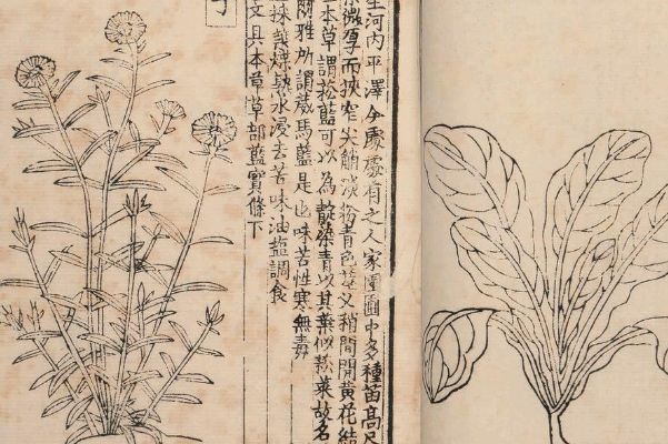 �Ȼı������ĸ�ʱ�ڵ�˭��׫�� �Ȼı��ݵ��������ĸ�������