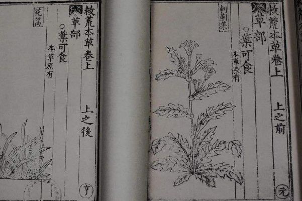 �Ȼı������ĸ�ʱ�ڵ�˭��׫�� �Ȼı��ݵ��������ĸ�������