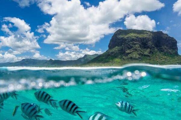 �ϴ���Ϊ������������ ��������й���������