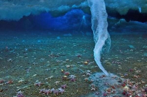 �ϴ���Ϊ������������ ��������й���������