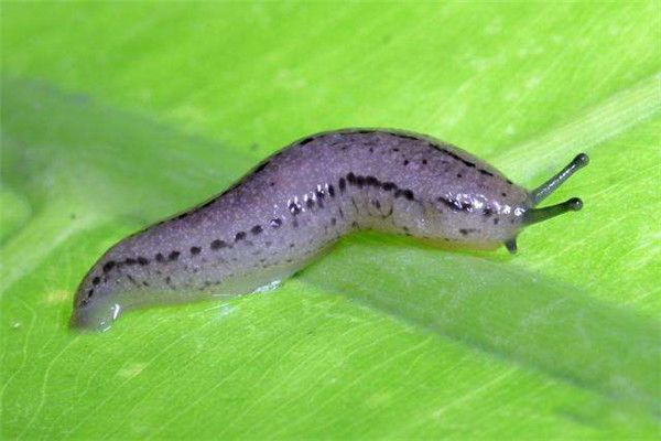 �������ʲô���� �����Ľ������ں���