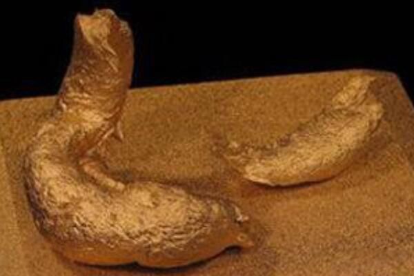 �ձ��ԵĴ��� ���Խ��������ձ���㾹Ȼ�ǵ���