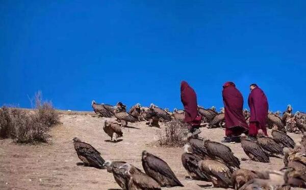 ʲô�ǲ������� ��ʵ������Ĵ�˵