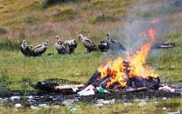 ʲô�ǲ������� ��ʵ������Ĵ�˵