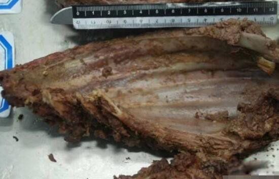 ������ʬ���������� �ܺ�����90����Ů��ʿ