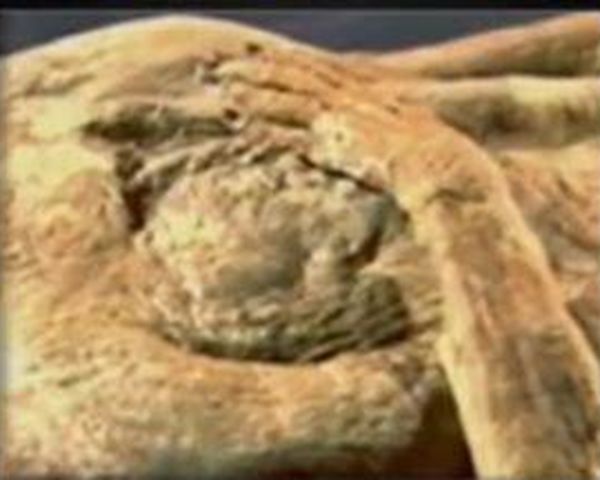 ��ɽ��ʬ�հ� ������ʬ������˭������������