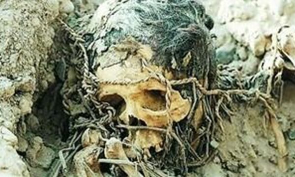 ��ɽ��ʬ�հ� ������ʬ������˭������������