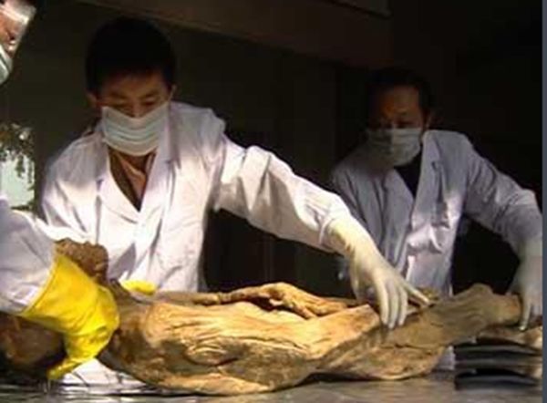 ��ɽ��ʬ�հ� ������ʬ������˭������������