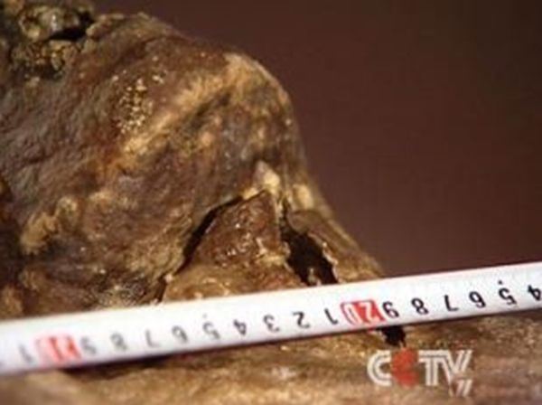 ��ɽ��ʬ�հ� ������ʬ������˭������������