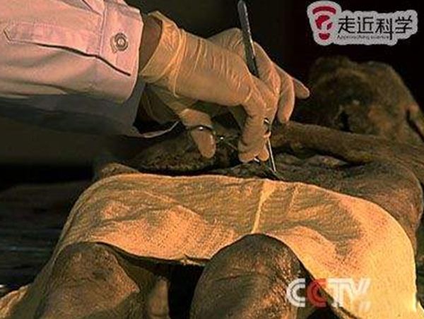 ��ɽ��ʬ�հ� ������ʬ������˭������������