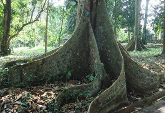 ʮ��Σ�ճ���ֲ�� ʳ�˻�������һ�ֲֿ��ĳ���ֲ��