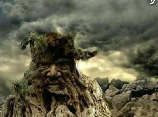 ʮ��Σ�ճ���ֲ�� ʳ�˻�������һ�ֲֿ��ĳ���ֲ��