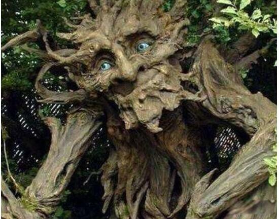 ʮ��Σ�ճ���ֲ�� ʳ�˻�������һ�ֲֿ��ĳ���ֲ��