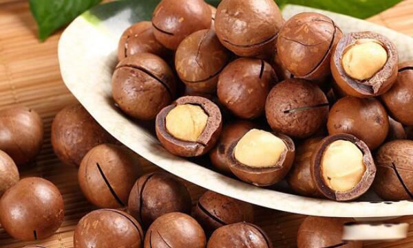 夏威夷果果壳属于什么垃圾 不易腐烂是干垃圾还是湿垃圾