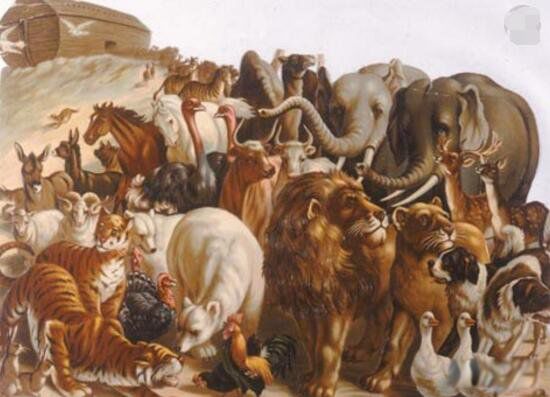 ʥ��ŵ�Ƿ�����ʲô��˼ �񻰴�˵һֱ��������