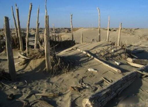 ¥���Ź���ַ������ һҹ�����ʧ��,¥���Ź���ʧ��ԭ����ʲô