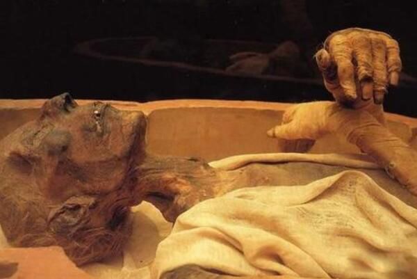 ��λ�Ű�����ֲ���ľ���� ͼ̹����ľ������������µ�