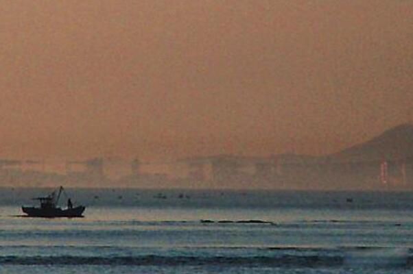 ����������¥1988��ʵ��� ���ﵽ6Сʱ�Ҳ���ԭ��