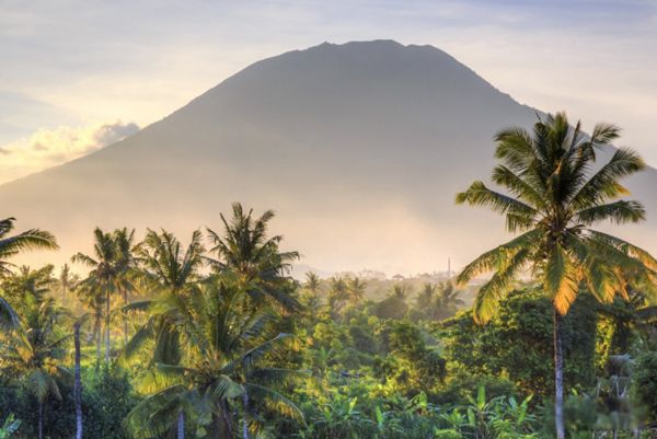 ӡ�������ǵļ�� ������ɵĹ���ƶ�����޴�