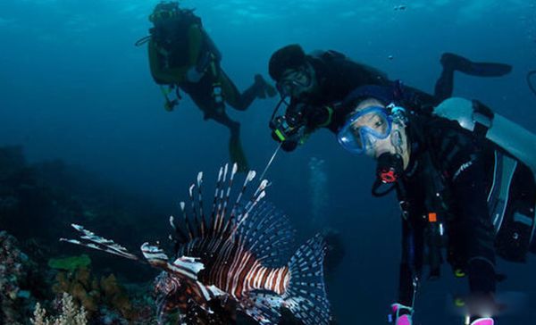 ӡ�������ǵļ�� ������ɵĹ���ƶ�����޴�