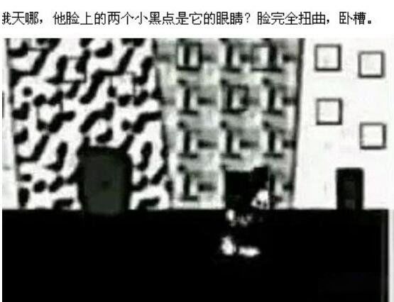 �����������¼���Ƶ9��4�� �ڰװ�����ֲ���һ��