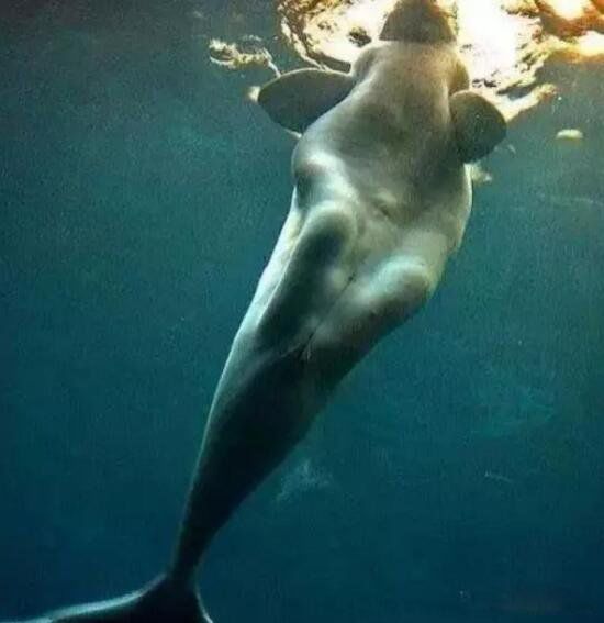 �����������ͼƬ ������ʲô����Ϊʲô��������