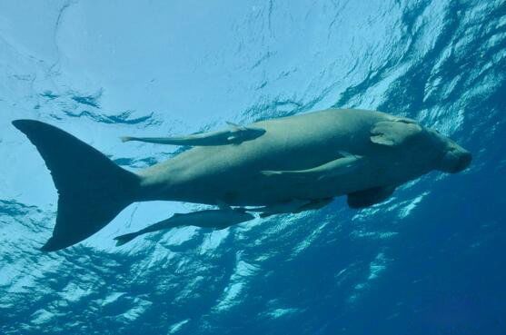 �����������ͼƬ ������ʲô����Ϊʲô��������