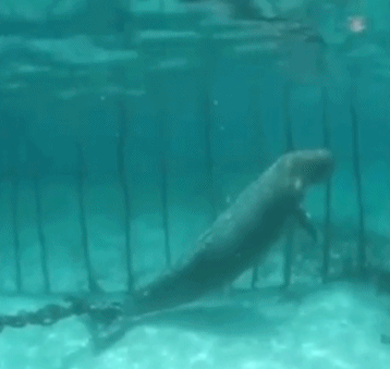 �����������ͼƬ ������ʲô����Ϊʲô��������