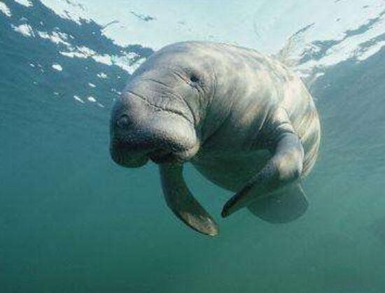 �����������ͼƬ ������ʲô����Ϊʲô��������