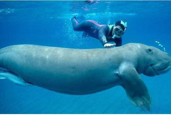 �����������ͼƬ ������ʲô����Ϊʲô��������