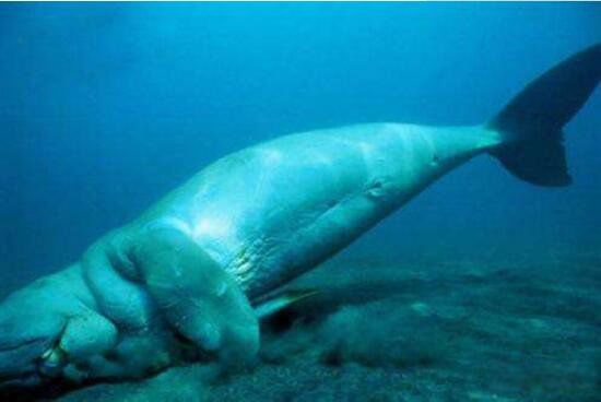 �����������ͼƬ ������ʲô����Ϊʲô��������