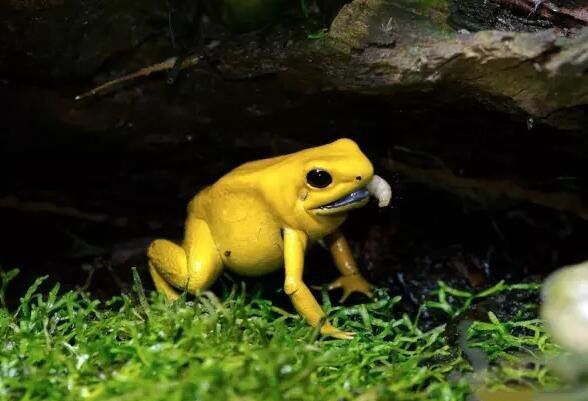 ������������ʵ��Ƭ �����ܵĿ��������˭ʲô��