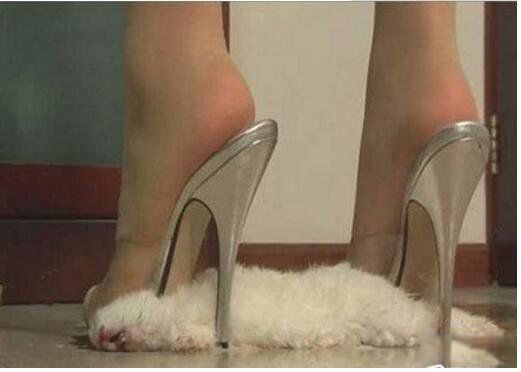 Ű�������¼�����ȥ�� Ű��Ů��Ű����������Ƶ׬Ǯ