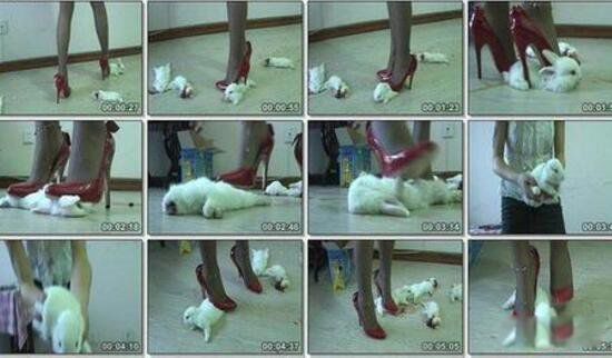 Ű�������¼�����ȥ�� Ű��Ů��Ű����������Ƶ׬Ǯ