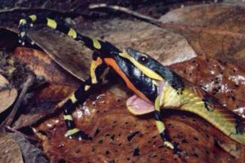 ������������ʵ��Ƭ �����ܵĿ��������˭ʲô��